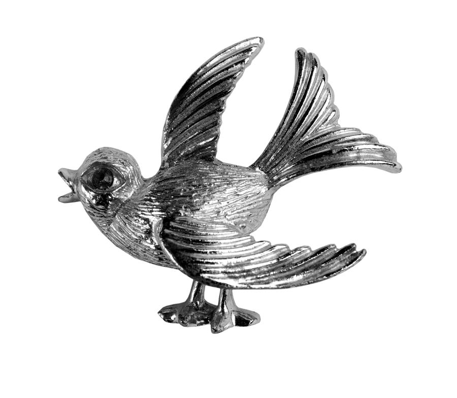 Vintage Drawing - Silver Bird by CSA Images