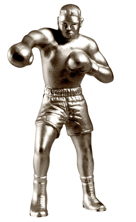 Sports Drawing - Silver Boxer by CSA Images