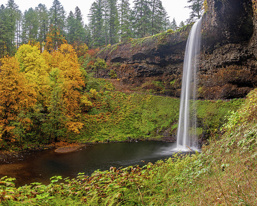 Silver Falls in Autumn Photograph by Ulrich Burkhalter