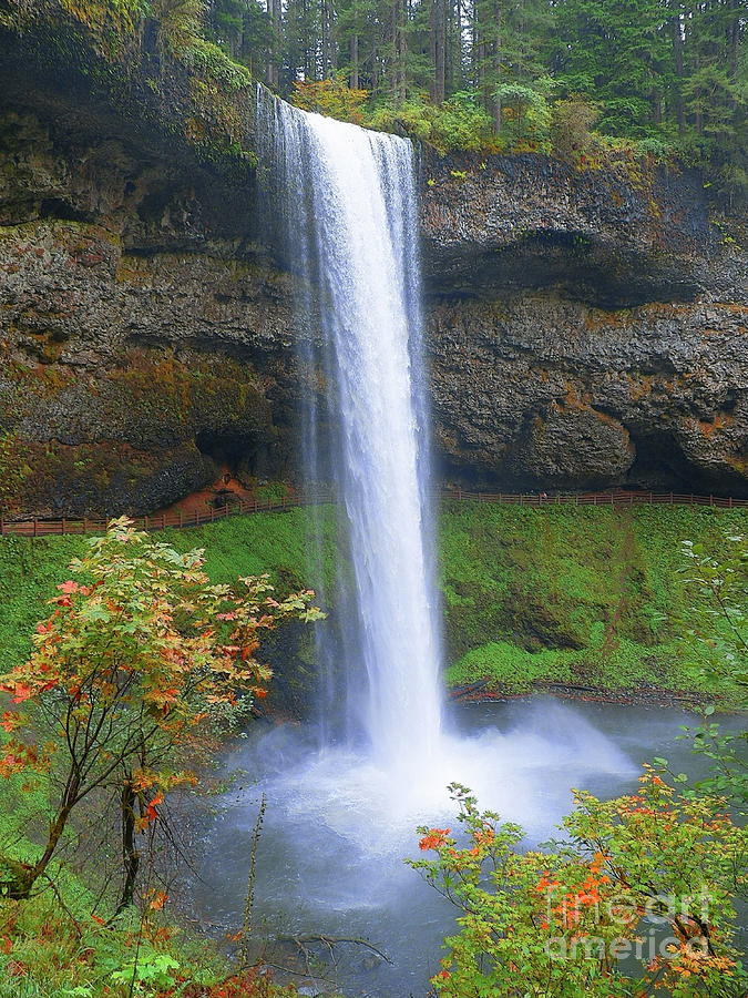 Silver Falls State Park Oregon Art Photography Photograph by Art Sandi