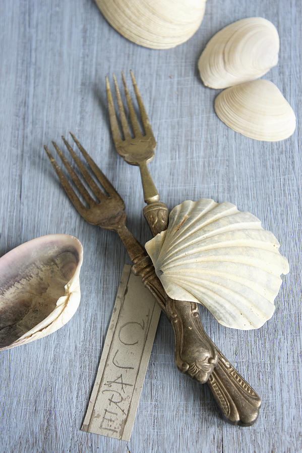 Silver Forks, Seashells And Name Tag Photograph by Martina Schindler