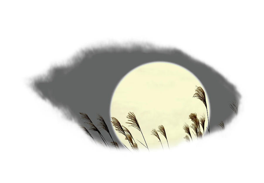 Silver Grass And Full Moon Digital Art by Norio Sato/a.collectionrf