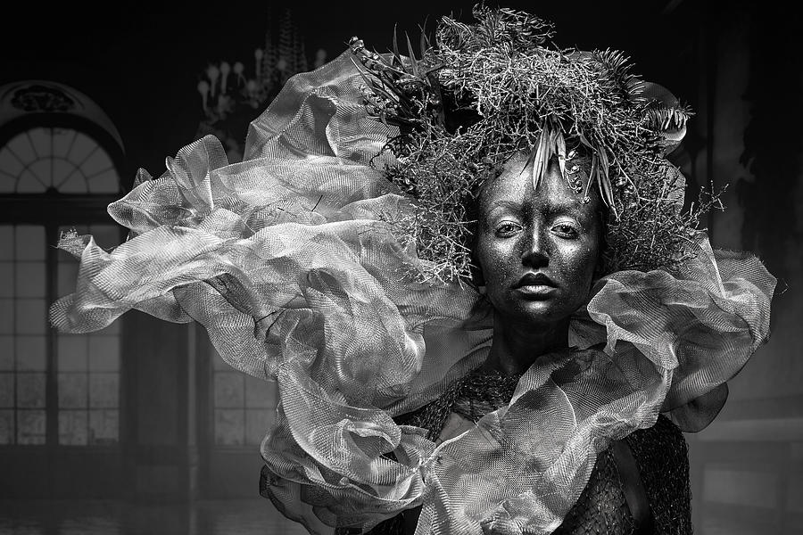 Silver Photograph by Klaus Tesching Fine Art America