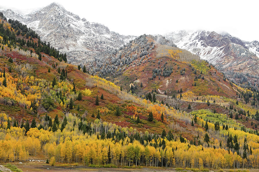 Silver Lake Flat with Fall Colors - American Fork Canyon, Utah Photograph by Brett Pelletier