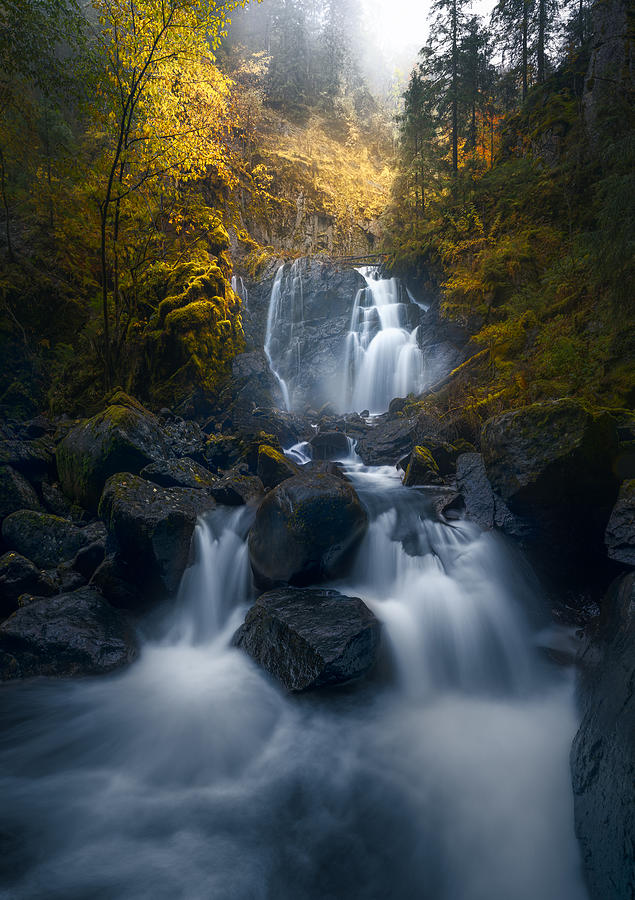 Fall Photograph - Silver Rain II by Ole Henrik Skjelstad
