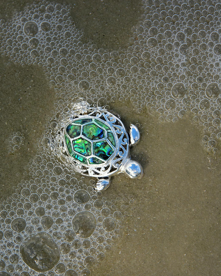 Silver Sea Turtle at the Beach Photograph by Mitch Spence