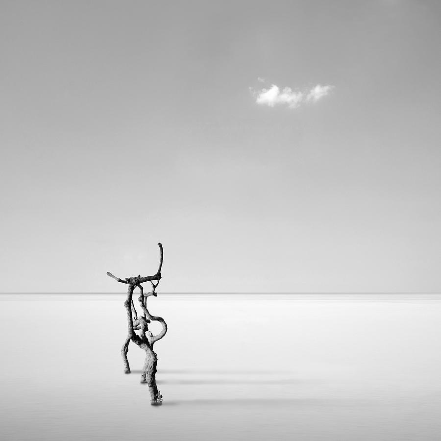 Simple Photograph - Silver Serenity by George Digalakis
