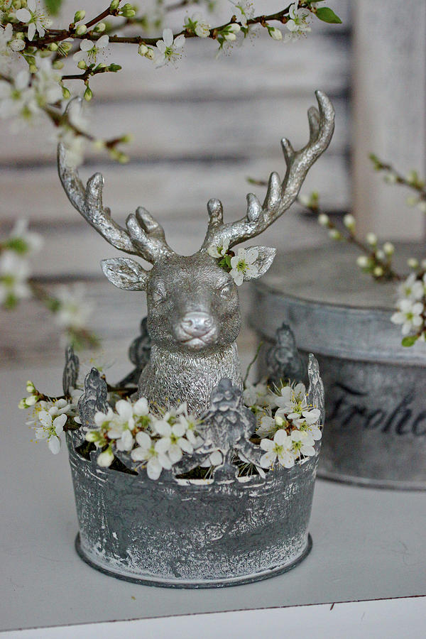 Silver Stags Head And Blackthorn Blossom In Metal Tub Photograph by Angelica Linnhoff