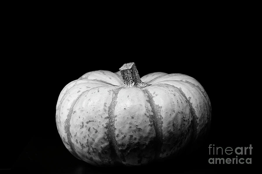 pumpkin black and white photography