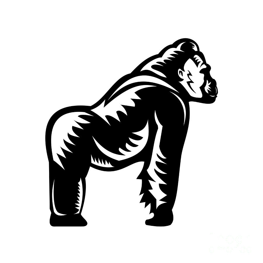 Silverback Gorilla Side View Woodcut Digital Art by Aloysius Patrimonio ...