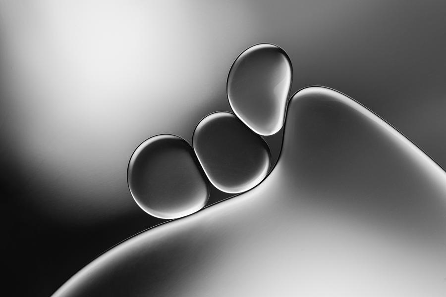Graphic Photograph - Silvery Shapes by Jacqueline Hammer