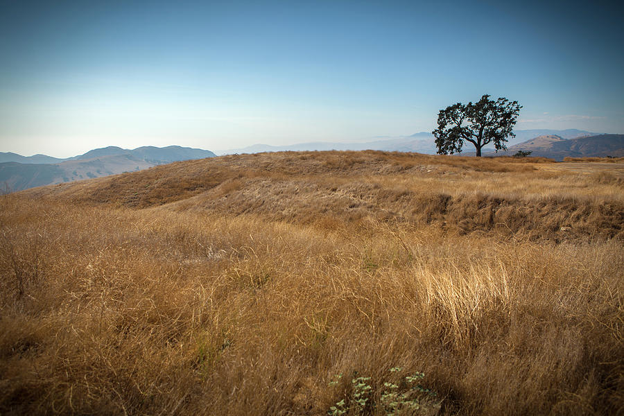 Simi Valley Hillside Photograph by Just One Film