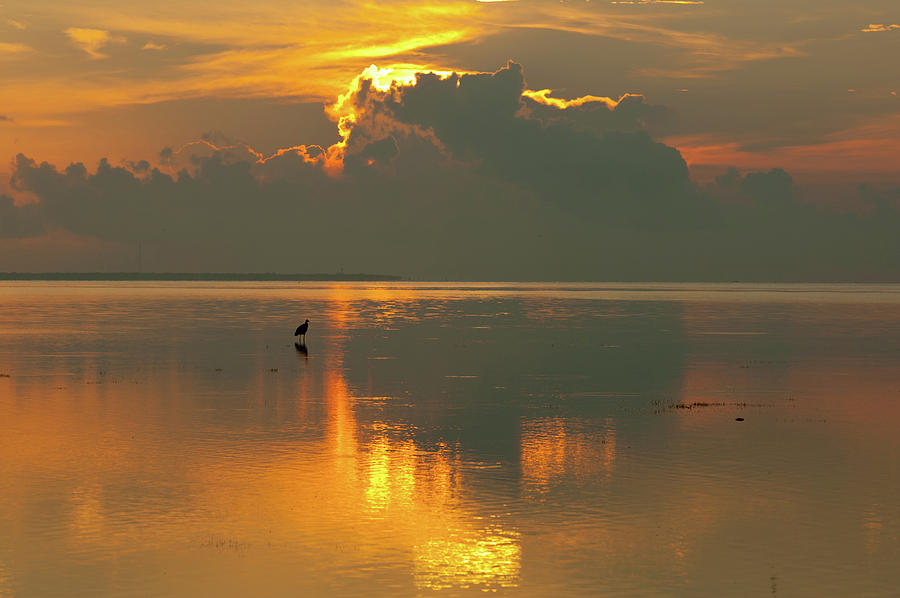 Simple and marvelous sunrise on Biscayne Bay Photograph by Edgar Estrada