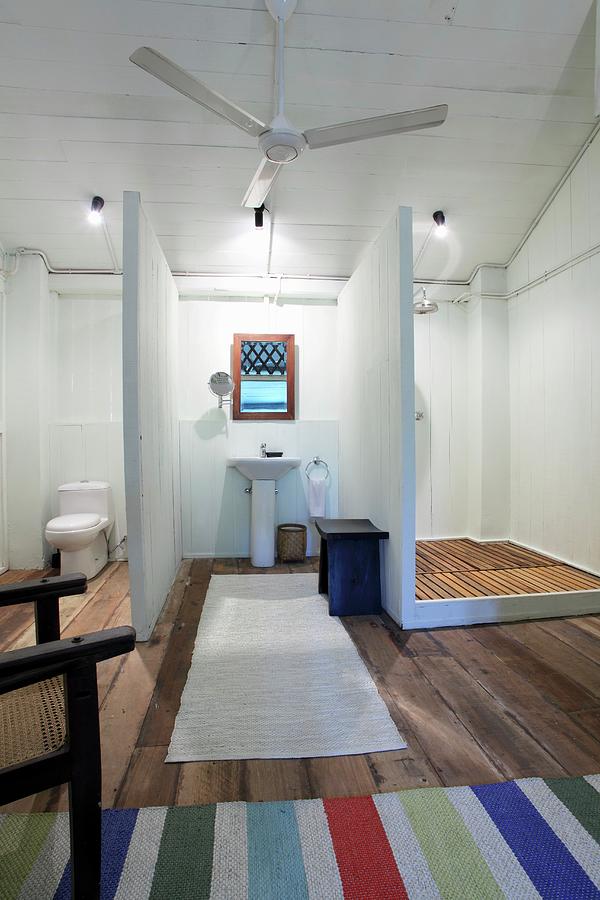 Simple Bathroom With Partitions Between Facilities And Ceiling Fan Photograph by Steven Morris