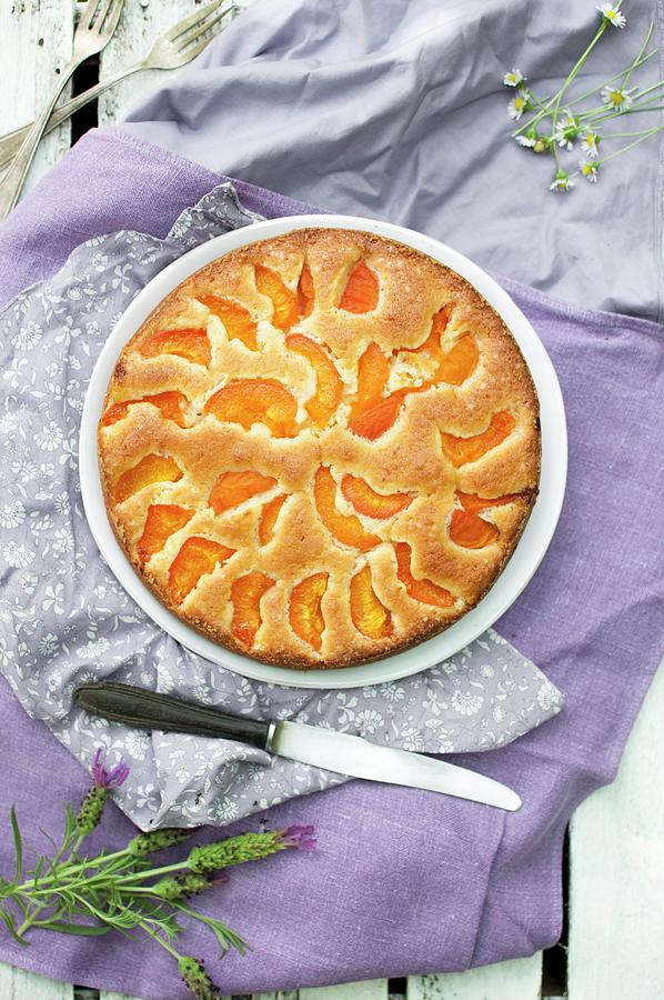 Simple Cake With Apricots Photograph by Kachel Katarzyna