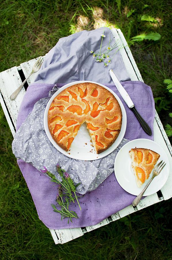 Simple Cake With Apricots, Served In The Garden On An Old White Box Photograph by Kachel Katarzyna