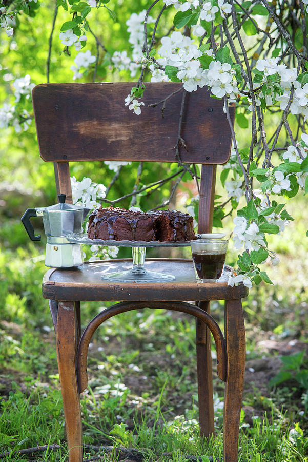 Simple Chocolate Cake In A Spring Garden Photograph by Irina Meliukh