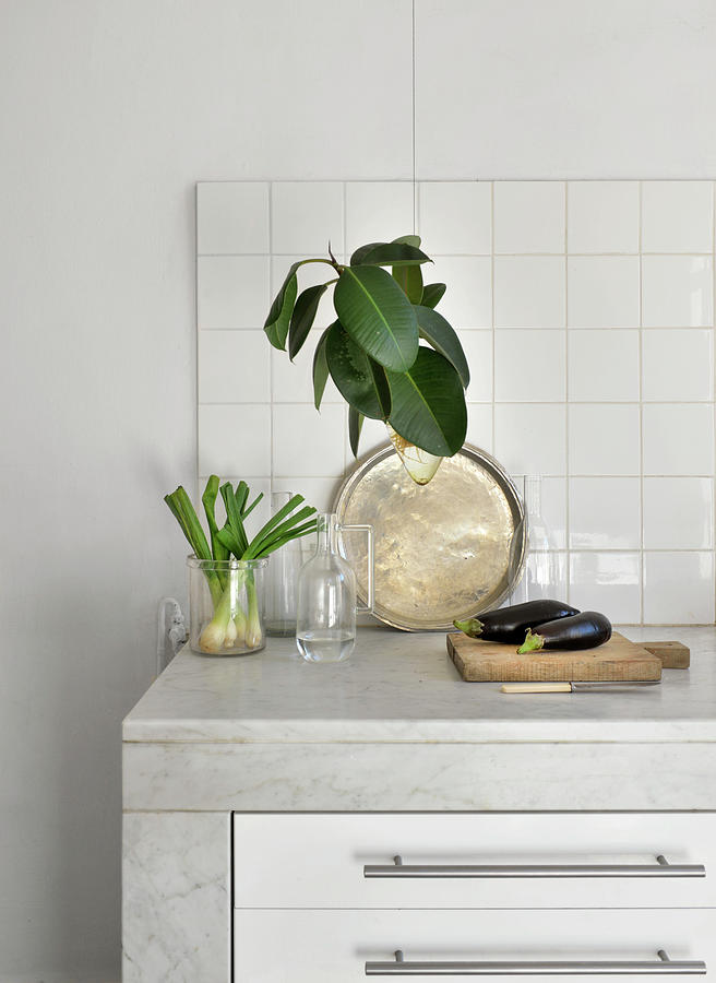 Simple Decorative Arrangement On Marble Kitchen Worksurface Photograph by Henri Del Olmo