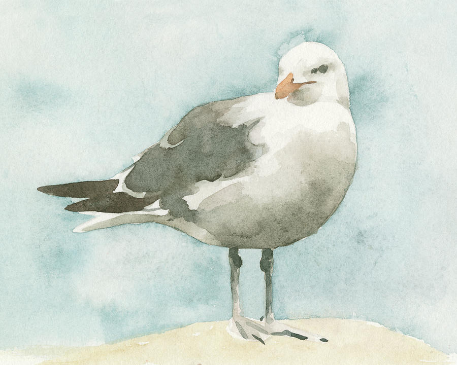 Animal Nature Painting - Simple Seagull I by Emma Caroline