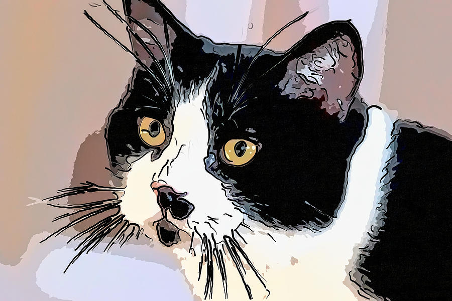 Simple Tuxedo Cat Digital Art by Don Northup