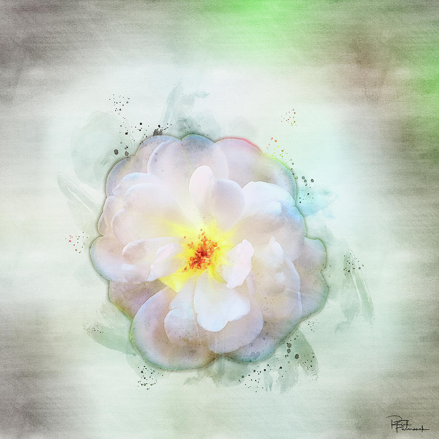 Simplicity in Digital Watercolor by Rick Furmanek Simplicity in Digital Watercolor by Rick Furmanek
