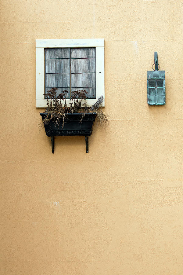 Simplicity Wall Photograph by Karol Livote