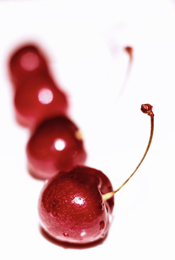 Simply Cherries Photograph by Marnie Patchett