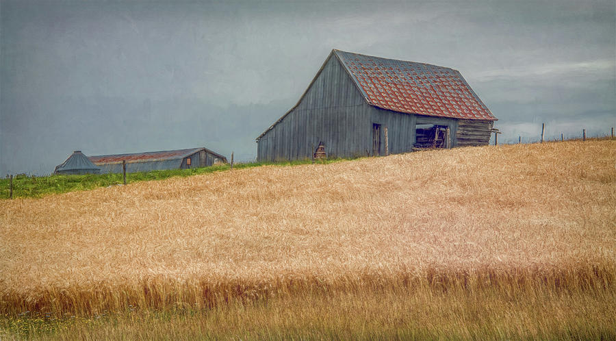 Simply Rural in Prince Edward Island Photograph by Marcy Wielfaert