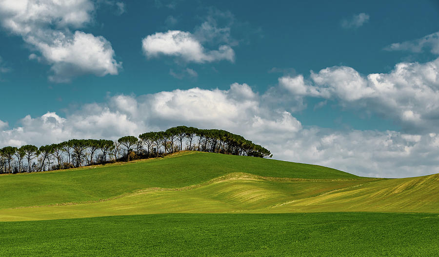 Simply Spring in Tuscany Photograph by Marcy Wielfaert