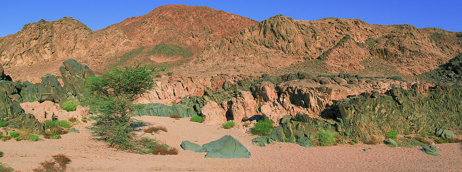 Sinai desert Photograph by Sun Travels