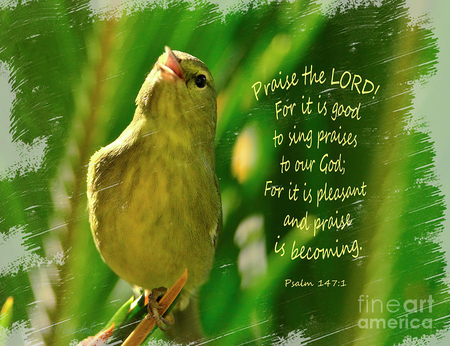 Sing Praises To God Photograph by Debby Pueschel
