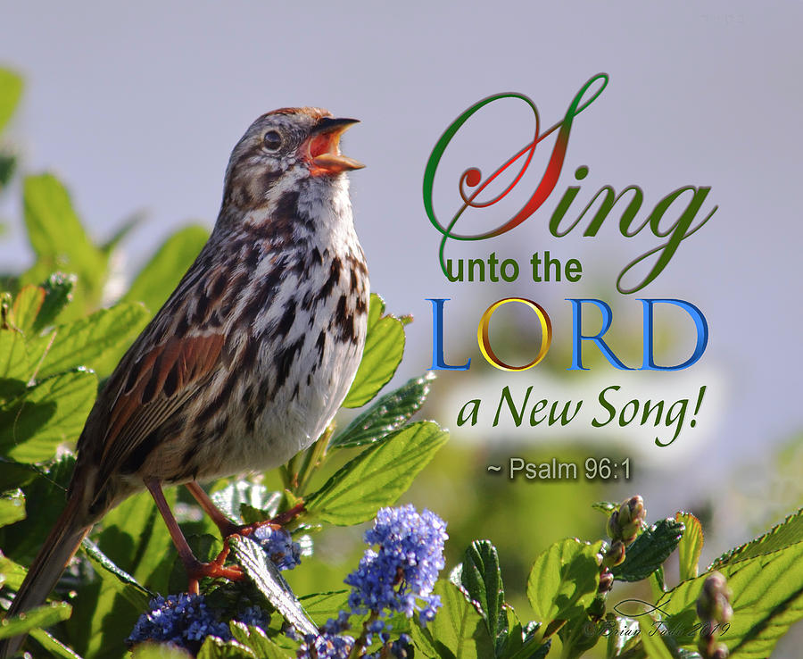 Sing To The Lord Photograph by Brian Tada