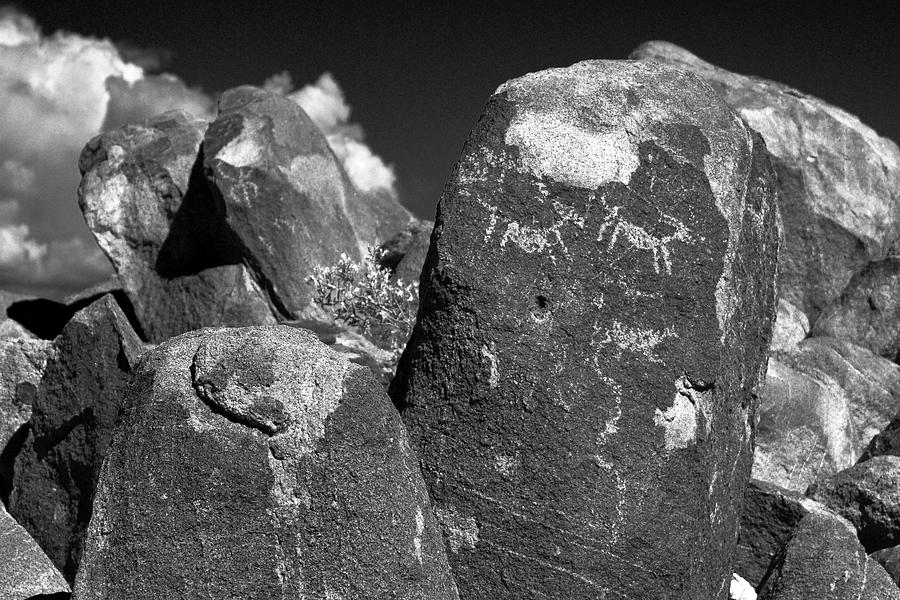 Prehistoric Photograph - Singal Hill Petroglyph #1 by Chance Kafka