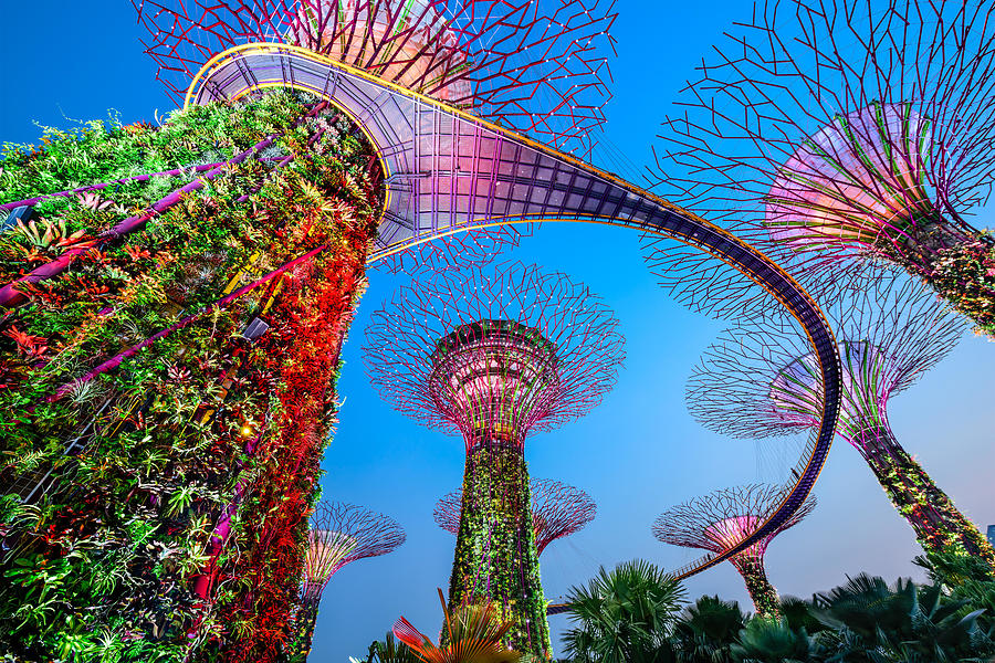 Tree Photograph - Singapore At Gardens By The Bay by Sean Pavone