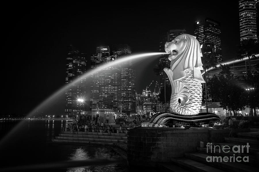 Singapore Merlion at night, black and white Photograph by Delphimages Photo Creations