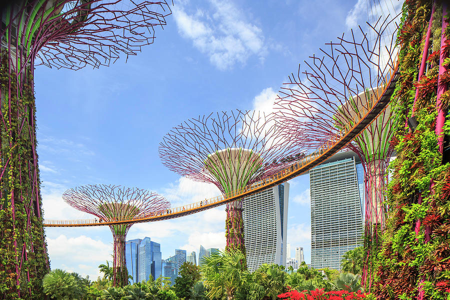 Singapore, Singapore City, Marina Bay Sands And Gardens By The Bay Trees Digital Art by Maurizio Rellini