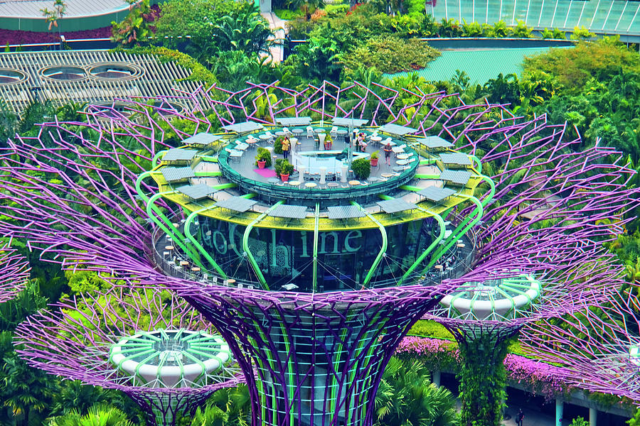 Singapore, Singapore City, Singapore Botanic Gardens, Areal Marina Bay, Garden By The Sands Digital Art by Uwe Niehuus