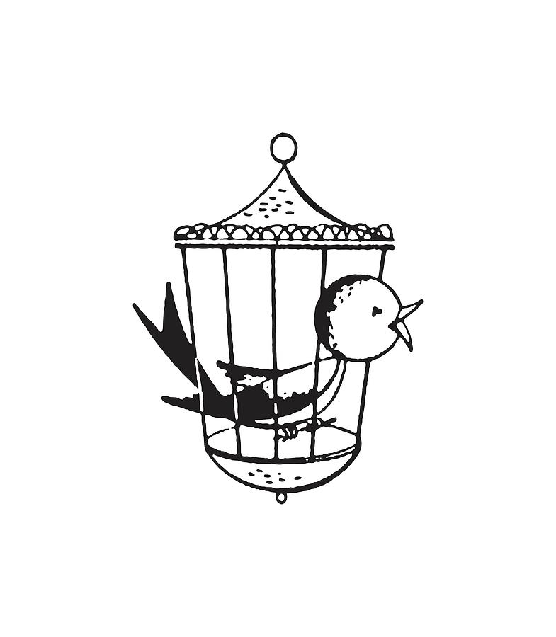 P26 Vintage Bird Cage Rubber Stamp : Amazon.in: Toys & Games