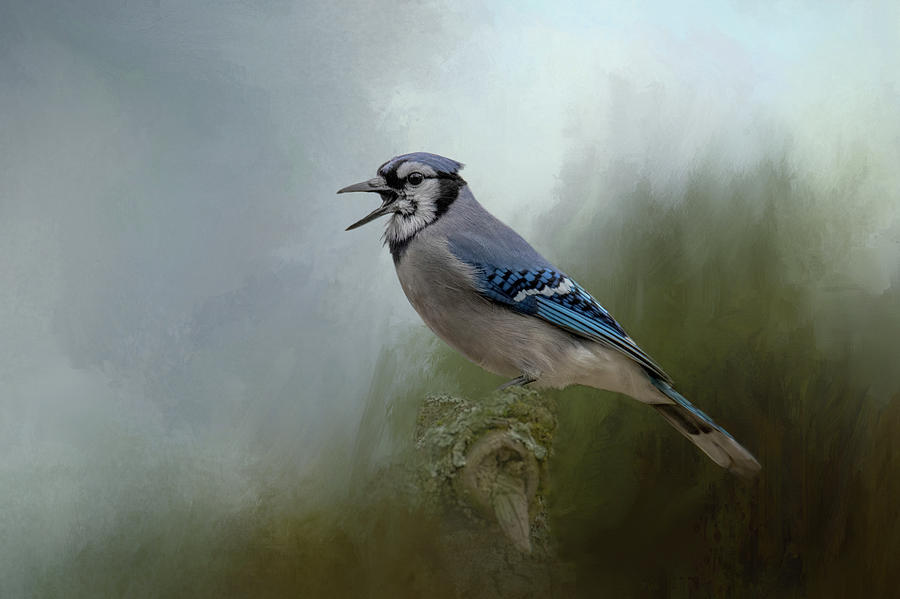 Singing the Blues by Kelley Parker Singing the Blues by Kelley Parker