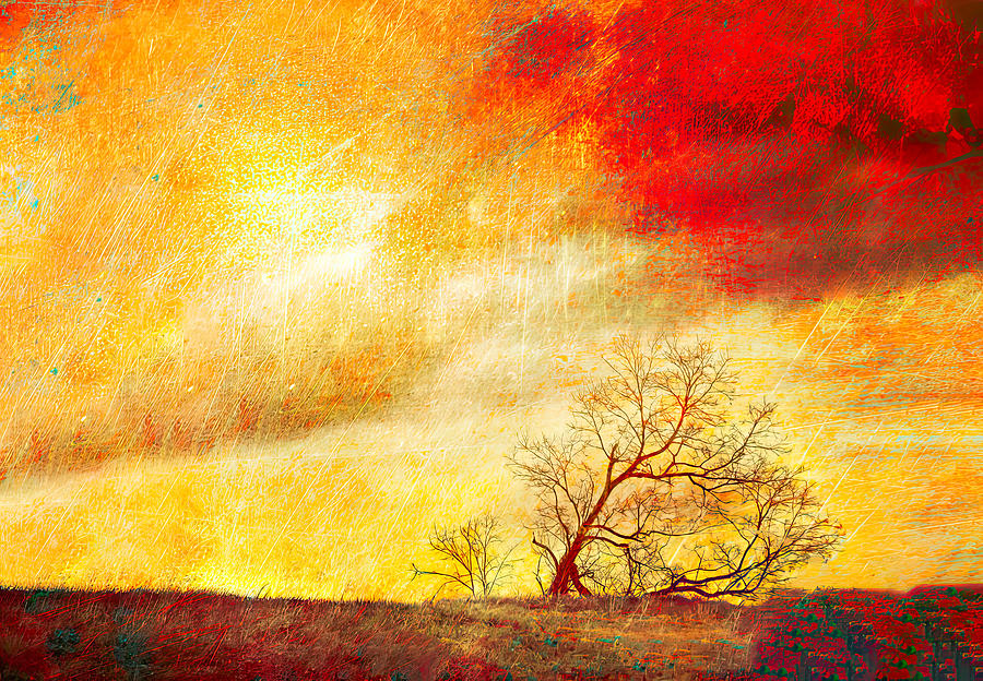 Tree Photograph - Singing The Wind Awake by Thomas N Porter