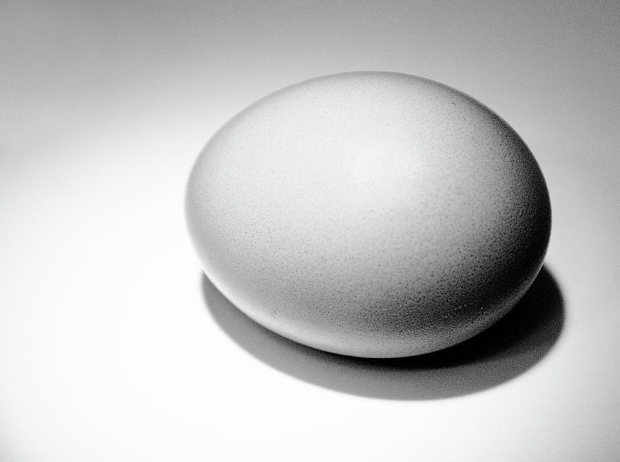 Single Egg Photograph by Carolyn Hebbard
