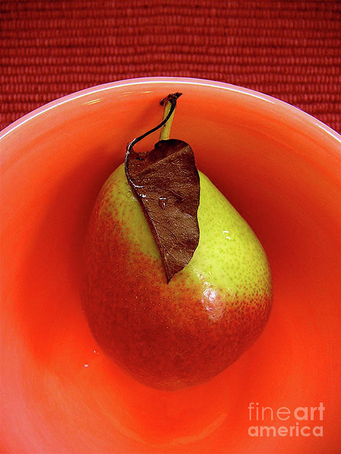 Single Pear In A Bowl Photograph by Lucyna A M Green