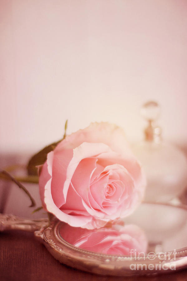 Single Pink Rose On A Mirror With A Perfume Bottle In The Background Photograph by Ethiriel Photography