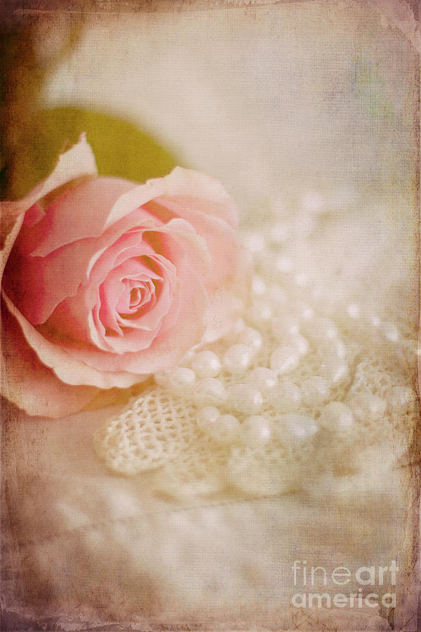 Single Pink Rose With Lace Gloves And Pearls Photograph by Ethiriel Photography
