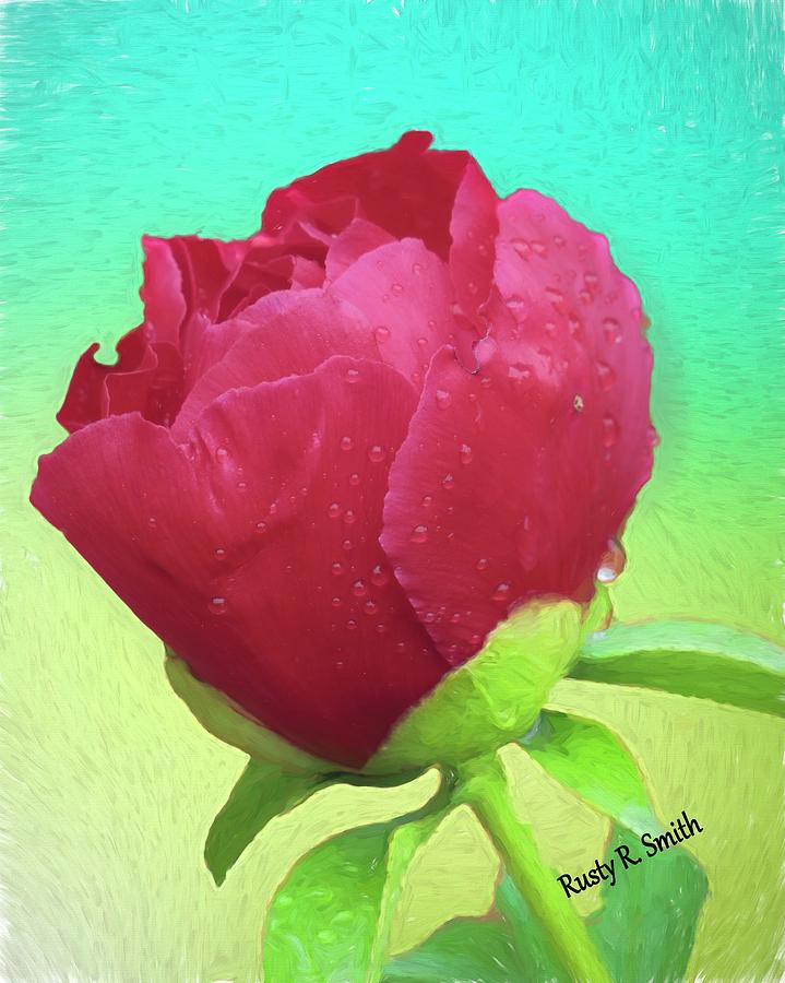Single Red Rose by Rusty R Smith Single Red Rose by Rusty R Smith