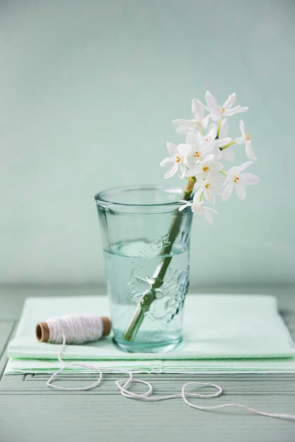 Single Stem Of White Flowers In Vase Next To Reel Of Thread Photograph by Magdalena Hendey