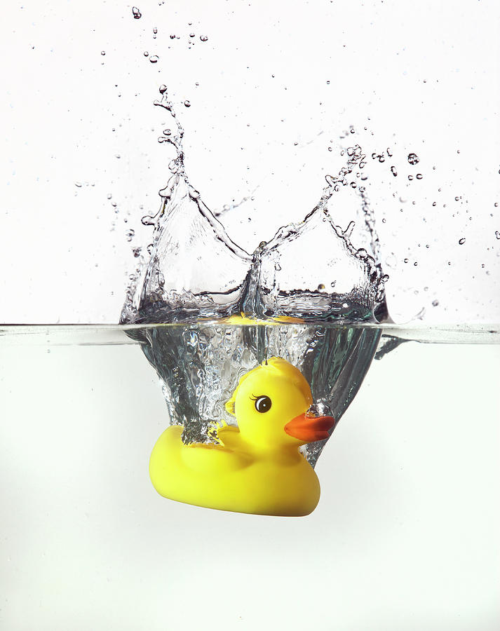 Sinking Rubber Duck Photograph by Buena Vista Images