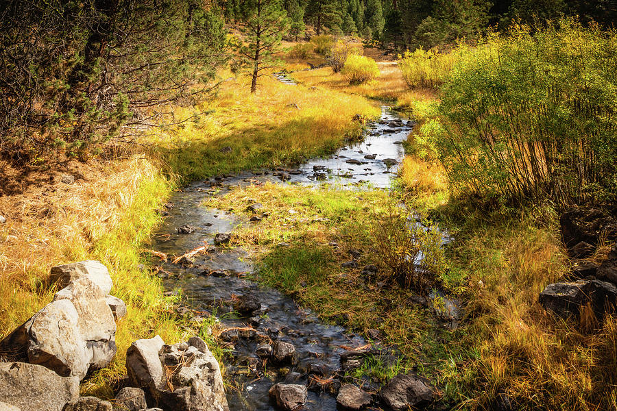 Sinuous Stream ... Photograph by Judy Foote-Belleci - Fine Art America