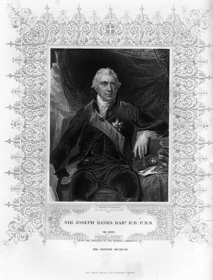 Sir Joseph Banks 1743-1820, English Drawing by Print Collector