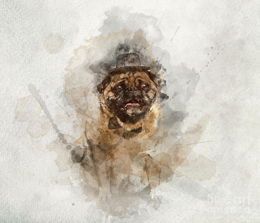 Dog Photograph - Sir pug dog in a cylinder and bowtie in watercolors. by Michal Bednarek